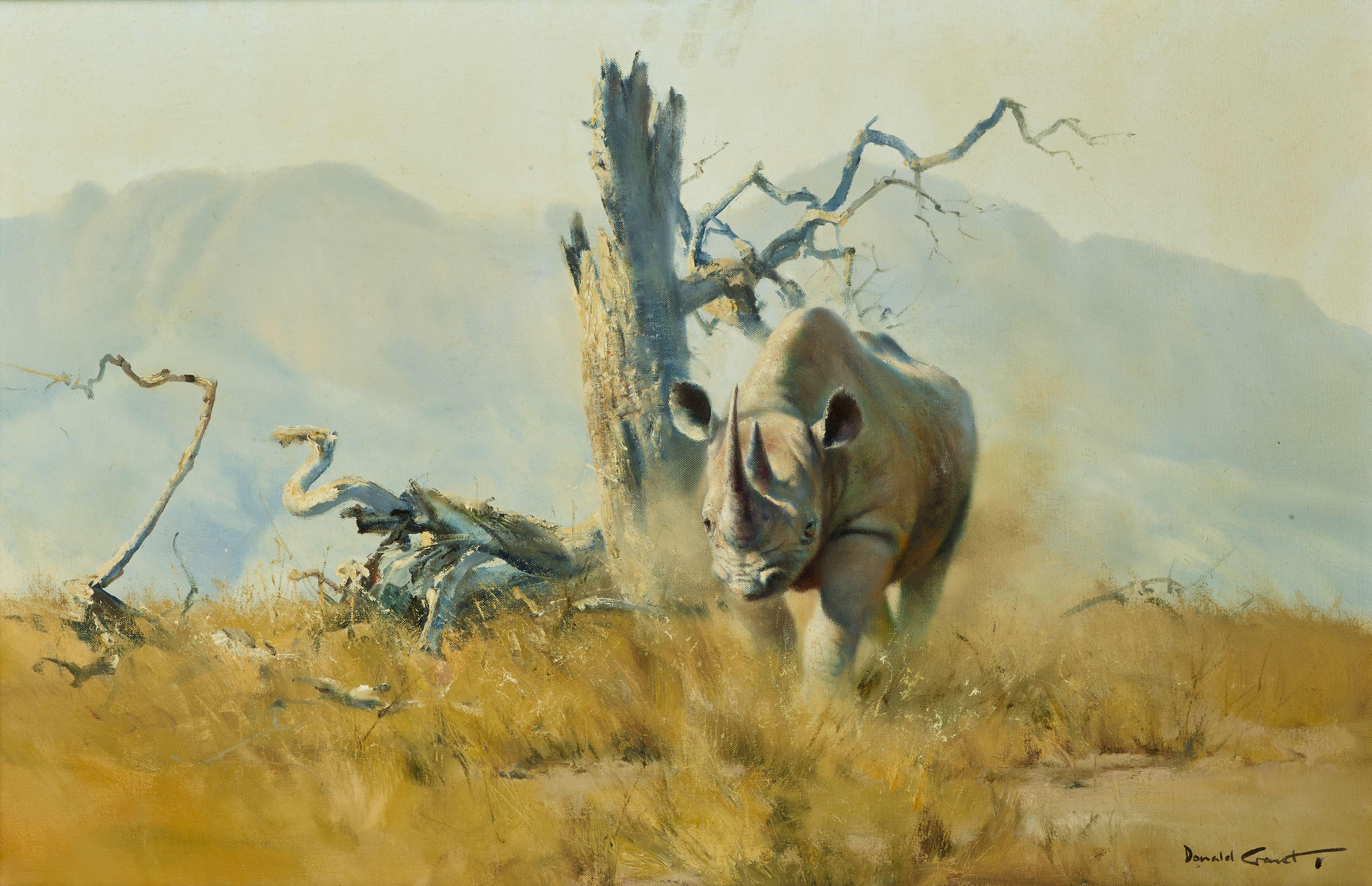Donald Grant - Rhino, Norogoro crater (Rhino charge)