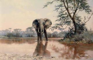 Donald Grant - Standing Ground - The Old One