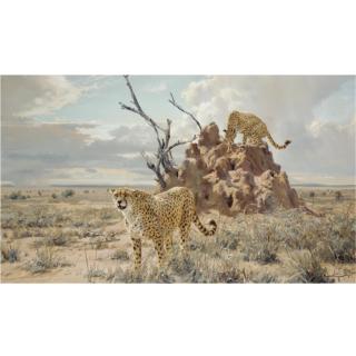 Donald Grant - The Leopards