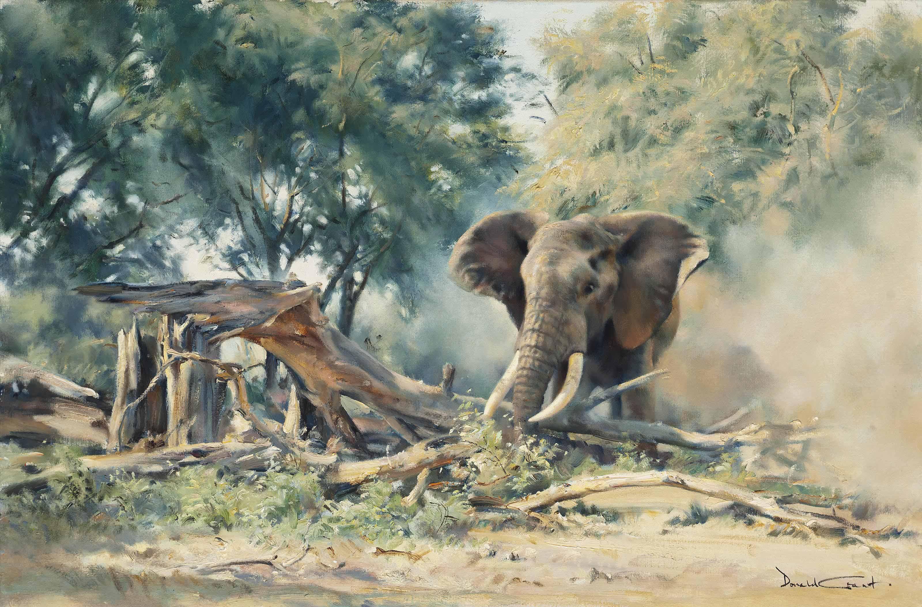 Donald Grant - The lone bull