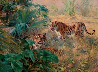 Donald Grant - Tigers