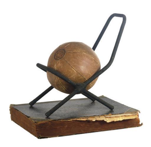 Donald Lipski - Medicine Ball