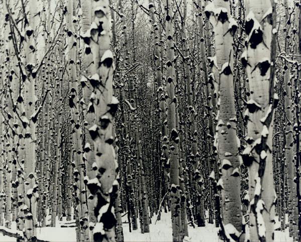 Donald Lipski - Untitled, 1999