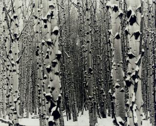 Donald Lipski - Untitled, 1999