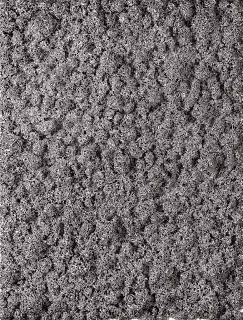 Donald Moffett - Lot 08 1703(p)