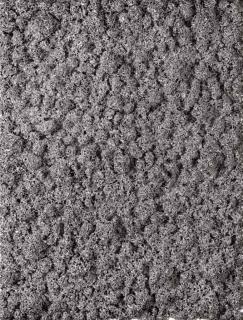 Donald Moffett - Lot 08 1703(p)