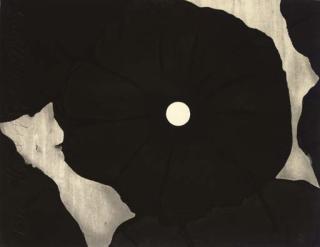 Donald Sultan - Black Flowers, September 26, 1999