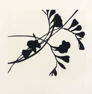 Donald Sultan - Black Freesias