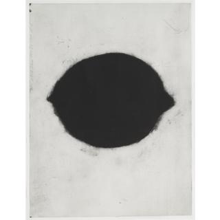 Donald Sultan - Black Lemon, Nov. 28, 1984