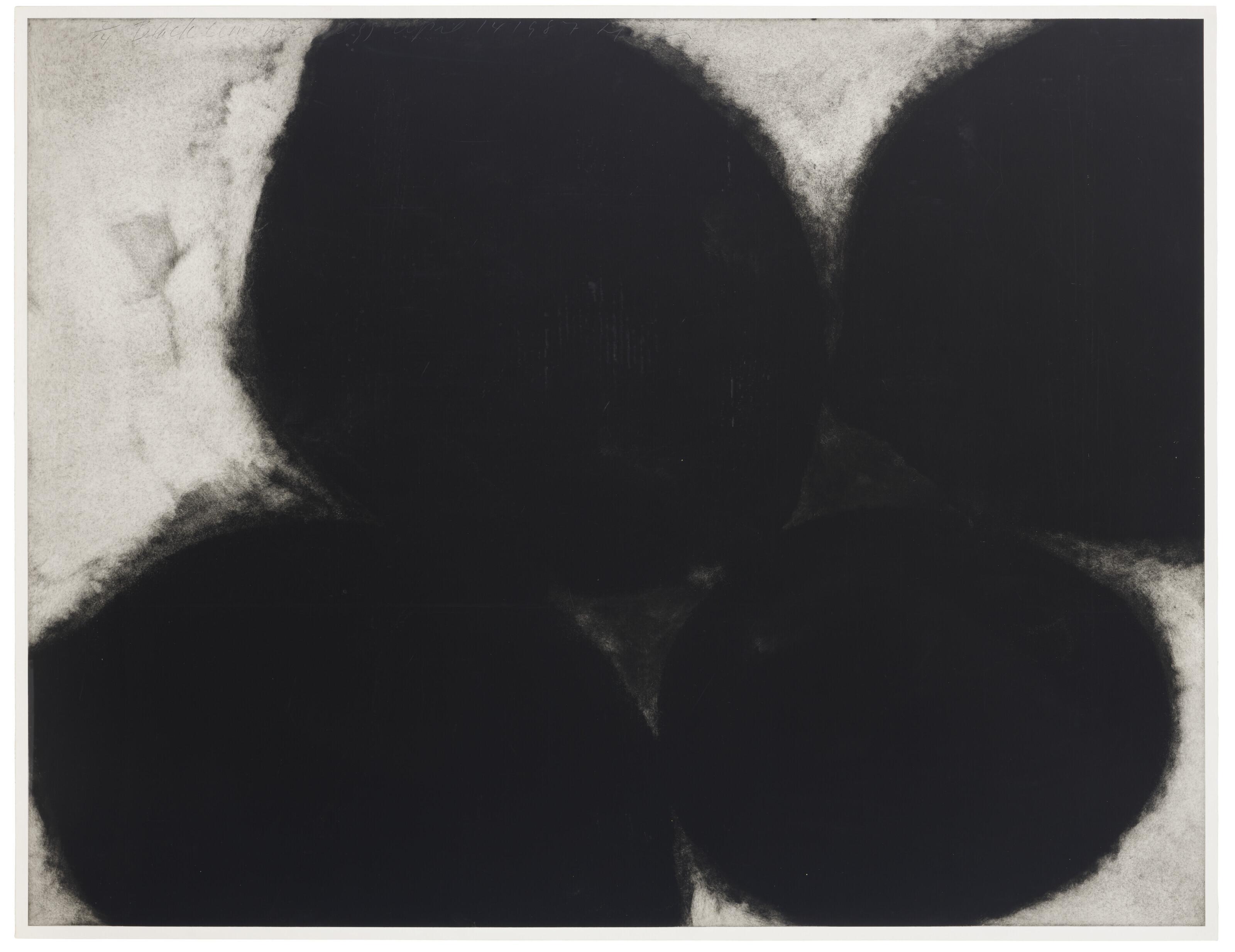 Donald Sultan - Black Lemons And Egg, April 14, 1987, From Lemons