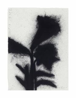 Donald Sultan - Black Lilies, October 13 1989