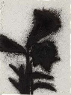 Donald Sultan - Black Lilies