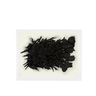 Donald Sultan - Black Roses, April 20, 2000