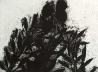 Donald Sultan - Black Roses, Dec. 1989