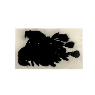 Donald Sultan - Black Roses, May 1990