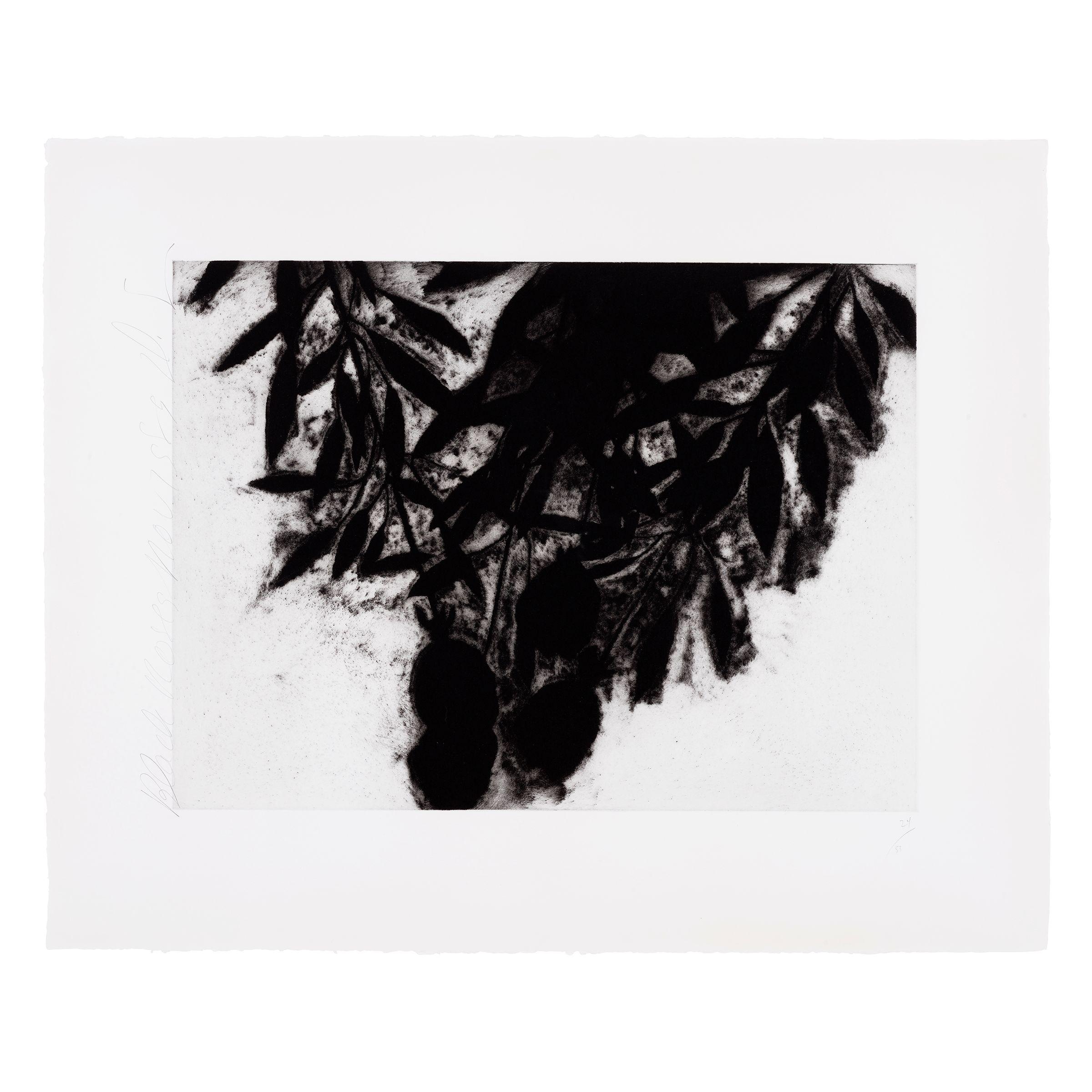 Donald Sultan - Black Roses