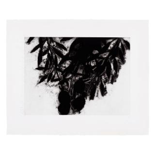 Donald Sultan - Black Roses