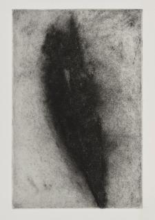 Donald Sultan - Black Tulip Frontispiece, Oct 1983