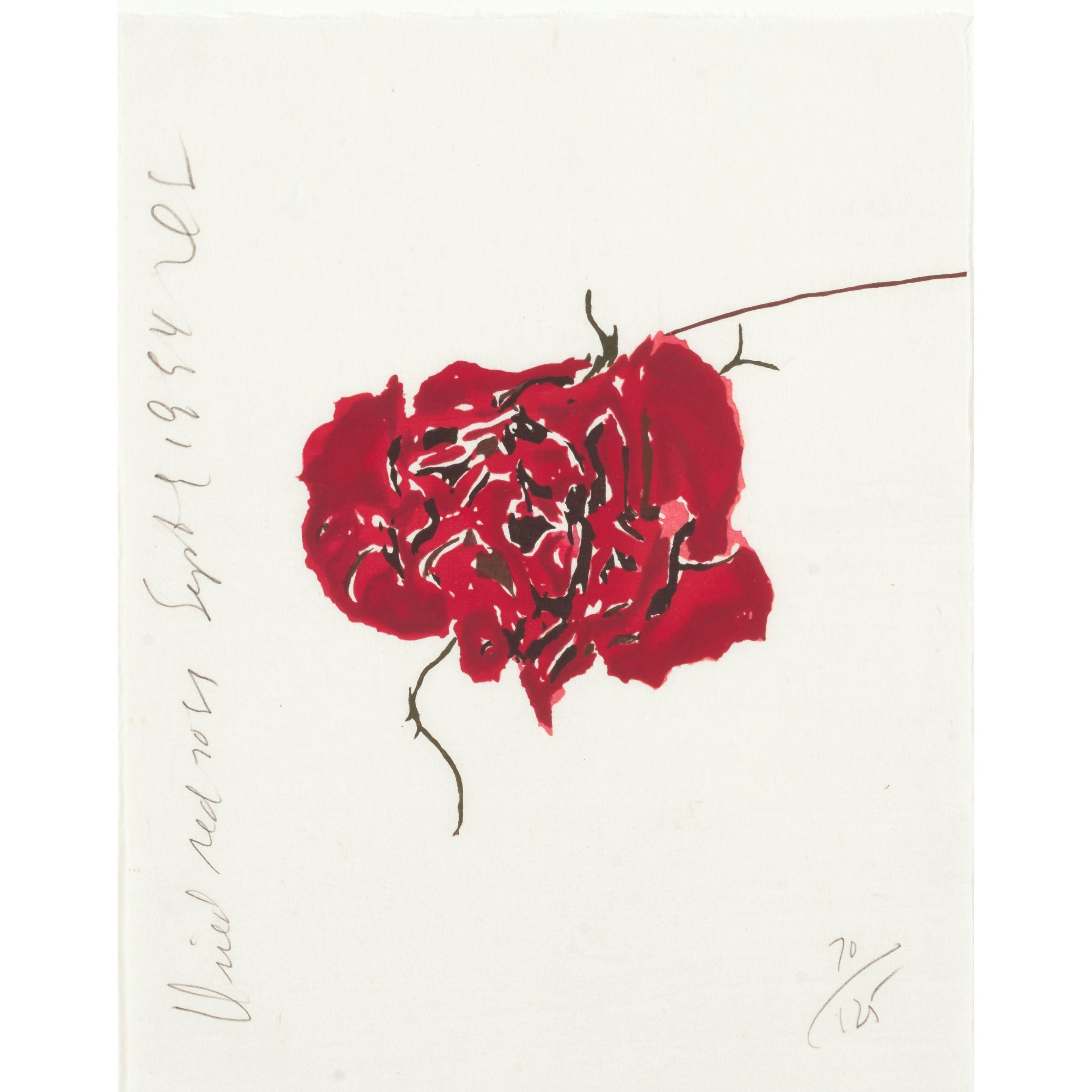 Donald Sultan - Dried Red Rose