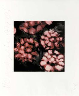 Donald Sultan - Fruits and Flowers II