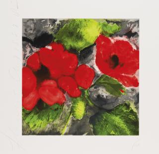 Donald Sultan - Fruits & Flowers