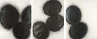 Donald Sultan - (I) Black Lemons And Egg, April 26 1986 (Ii) Black Eggs, April 20 1988 (Iii) Three Black Eggs, June 20 1988