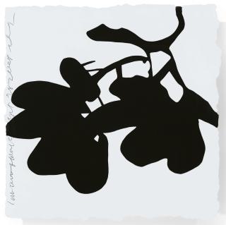 Donald Sultan - Lantern Flowers