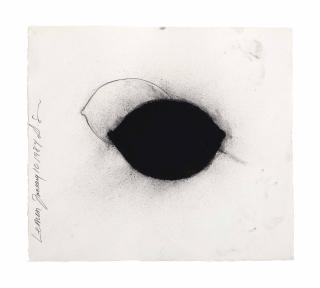 Donald Sultan - Lemon, January 10, 1984