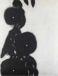 Donald Sultan - Morning Glories (W. 66)