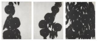 Donald Sultan - Morning Glories