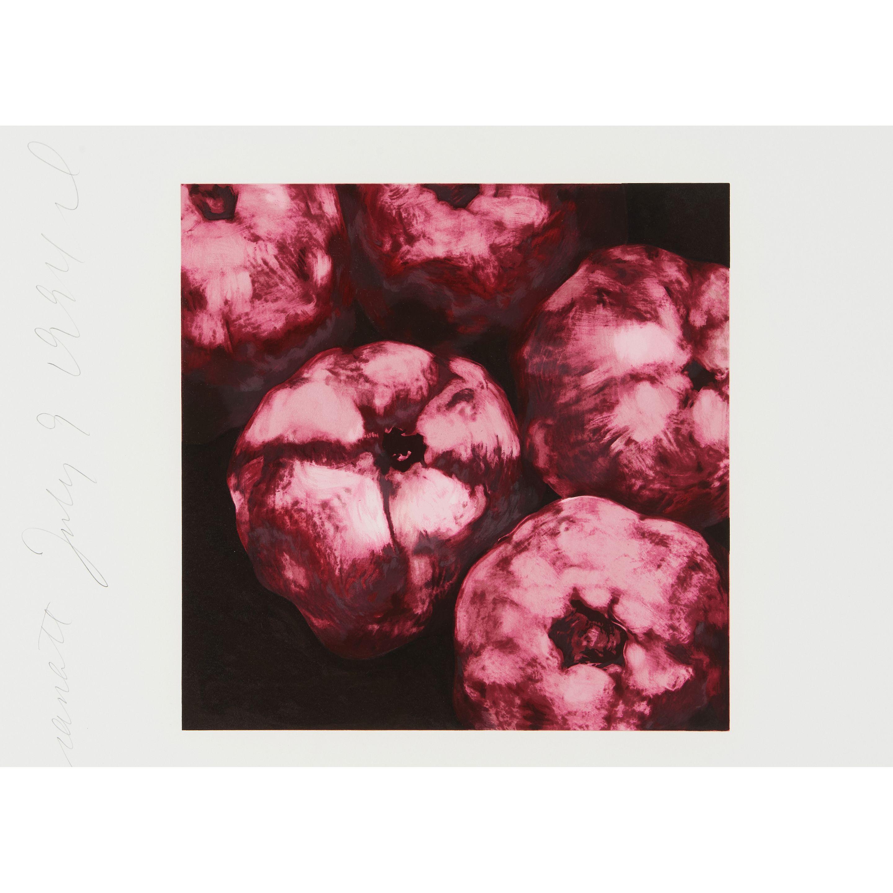 Donald Sultan - Pomegranate from the suite Fruits and Flowers III