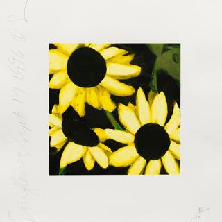 Donald Sultan - Sunflowers, September 17, 1996