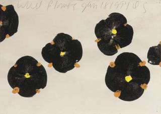 Donald Sultan - Wall Flowers