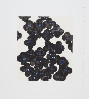 Donald Sultan - Wallflower 35, from Wallflowers Suite