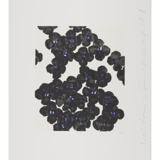 Donald Sultan - Wallflower 35, from Wallflowers