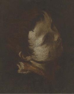 Donato Creti - Head of young boy, looking up and to the right