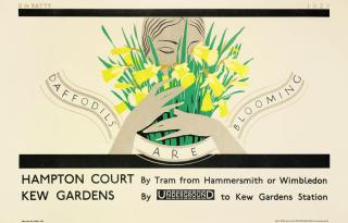 Dora M. Batty - Daffodils Are Blooming