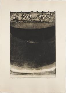 Dóra Maurer - Earth Cut