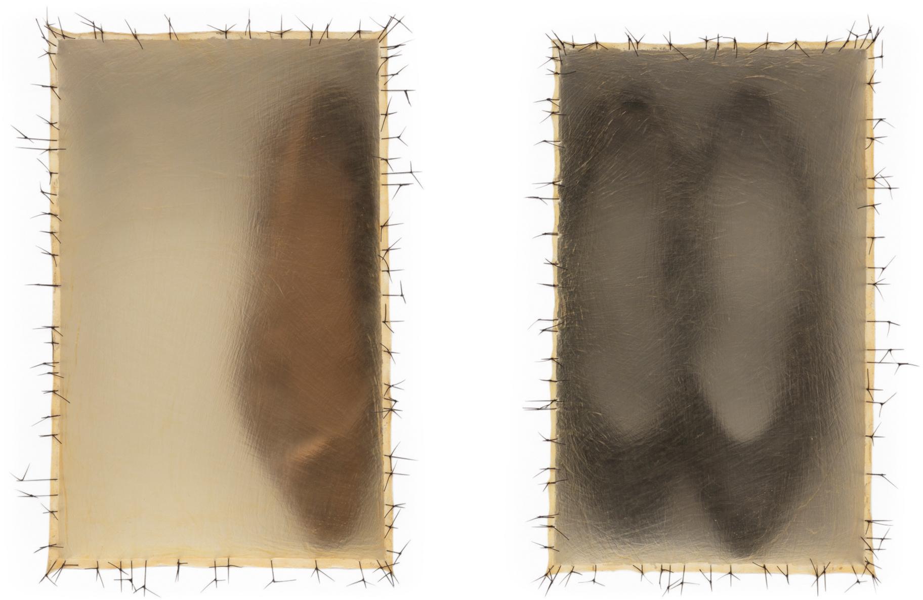 Doris Salcedo - Atrabiliarios