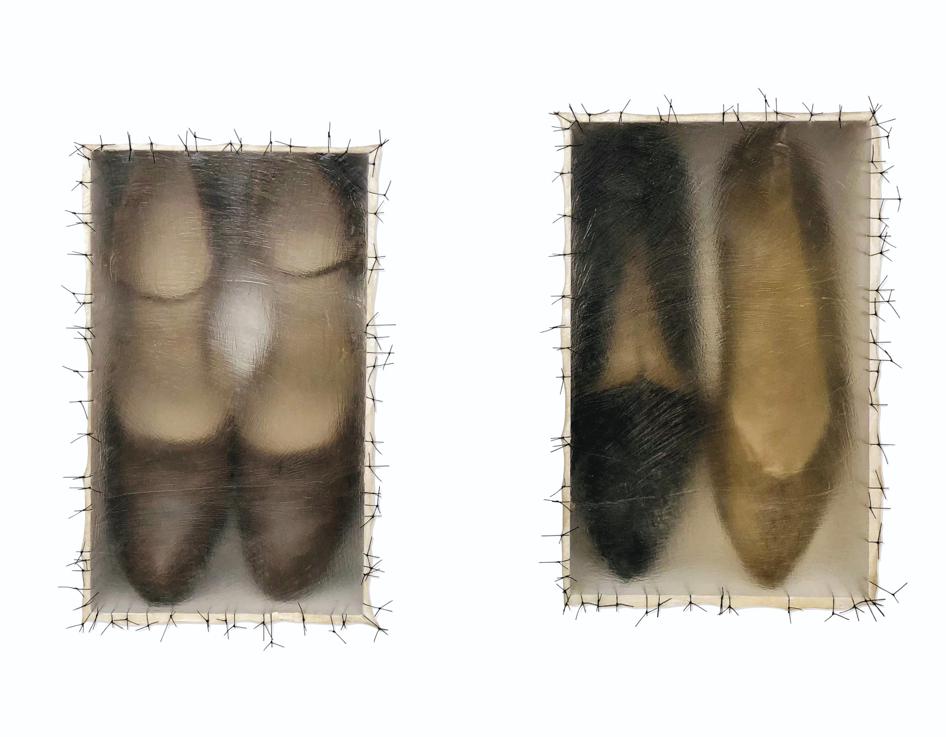 Doris Salcedo - Atrabiliarios