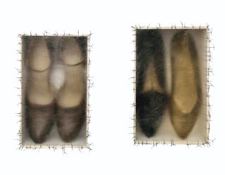 Doris Salcedo - Atrabiliarios