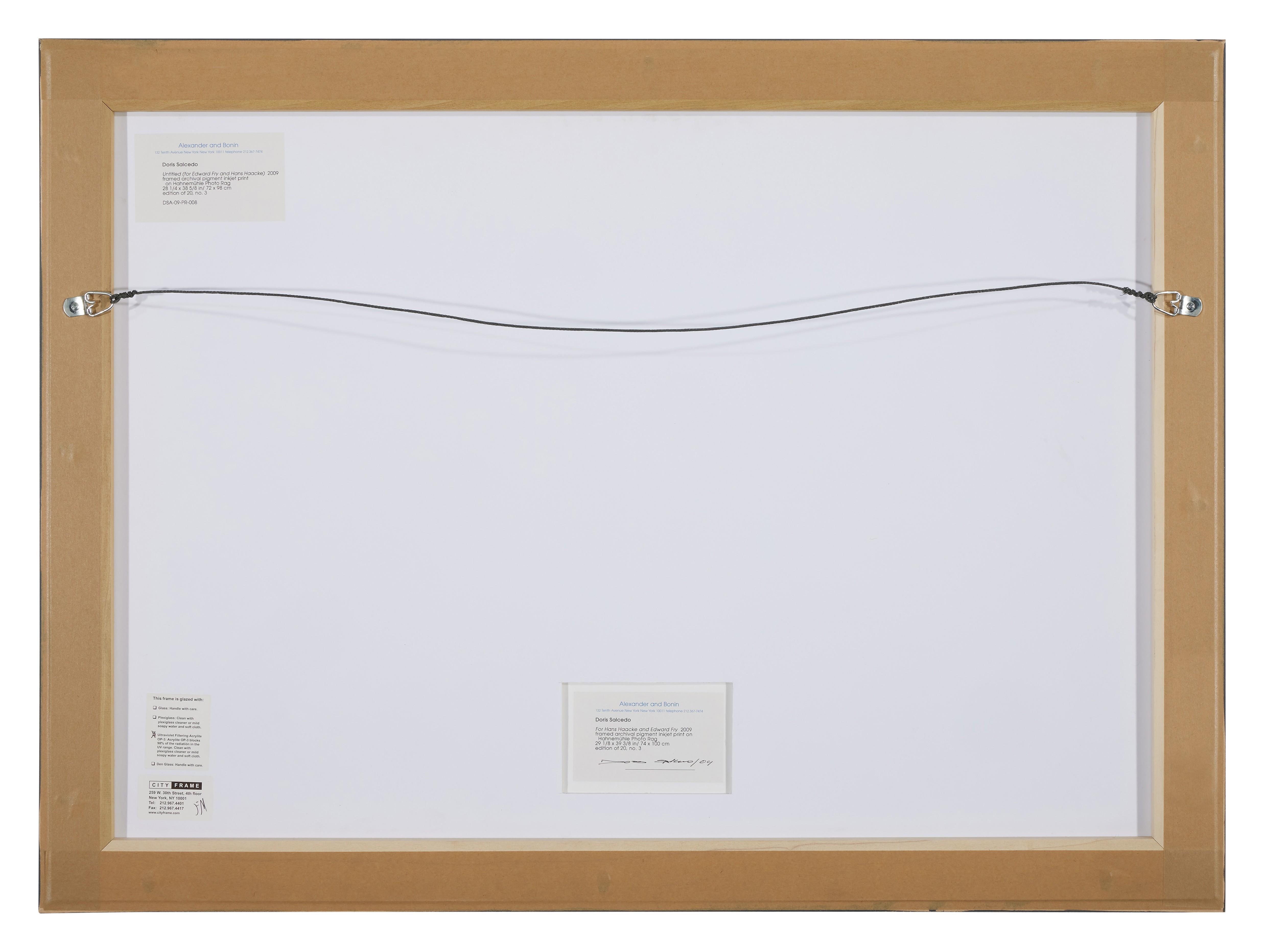 Doris Salcedo - For Hans Haacke & Edward Fry