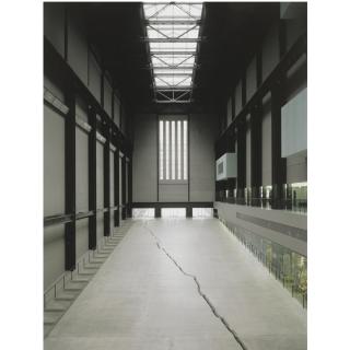 Doris Salcedo - Shibboleth I-Iv, 2007