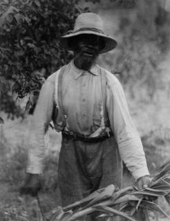 Doris Ulmann - Untitled (Farmer; and Basket weaver)