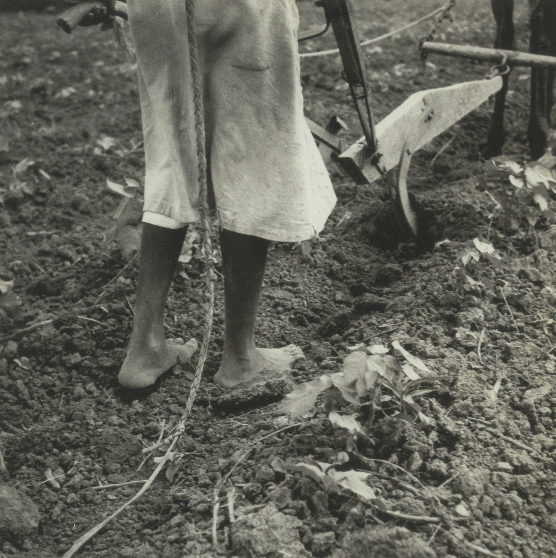 Dorothea Lange - Alabama Plow Girl Near Eutaw, Alabama, July 1936