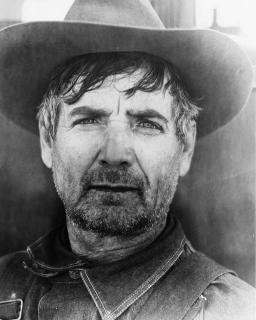 Dorothea Lange - Pea picker, Nipomo, California