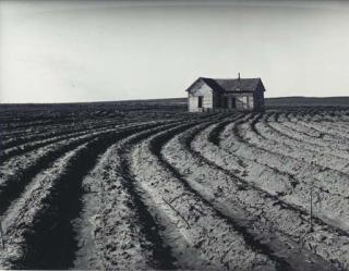 Dorothea Lange - Tractored Out, Childress County, Texas, 1938