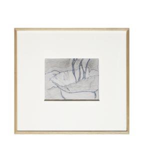 Dorothea Tanning - Sketch for Pictor Mysteriosa (Burnt Umbrage)