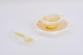 Dorothee Golz - Diese Tasse ist eine Tasse, keine Tasse.