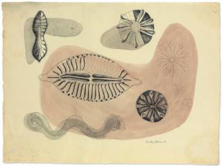 Dorothy Dehner - Untitled